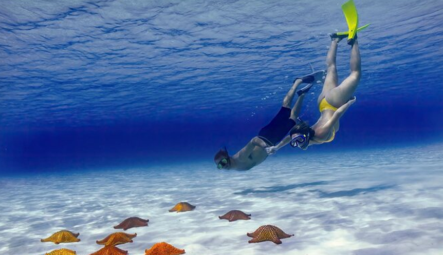 Cozumel reefs snorkeling